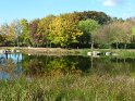 2011-10-20 11-58-58 Rando Parc de La Courneuve CGn